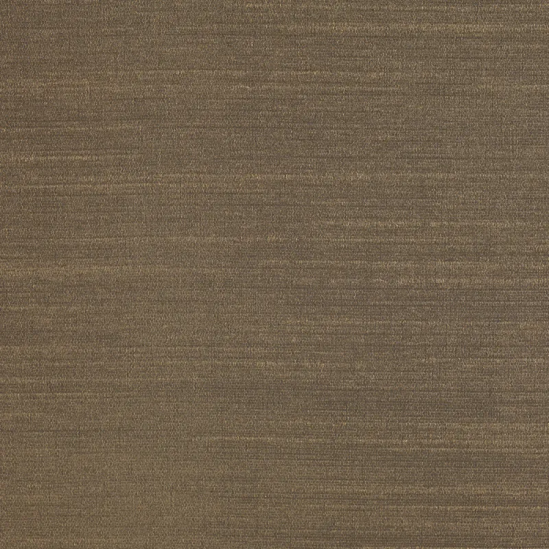 Ткань Dedar Alter Ego T17042_003