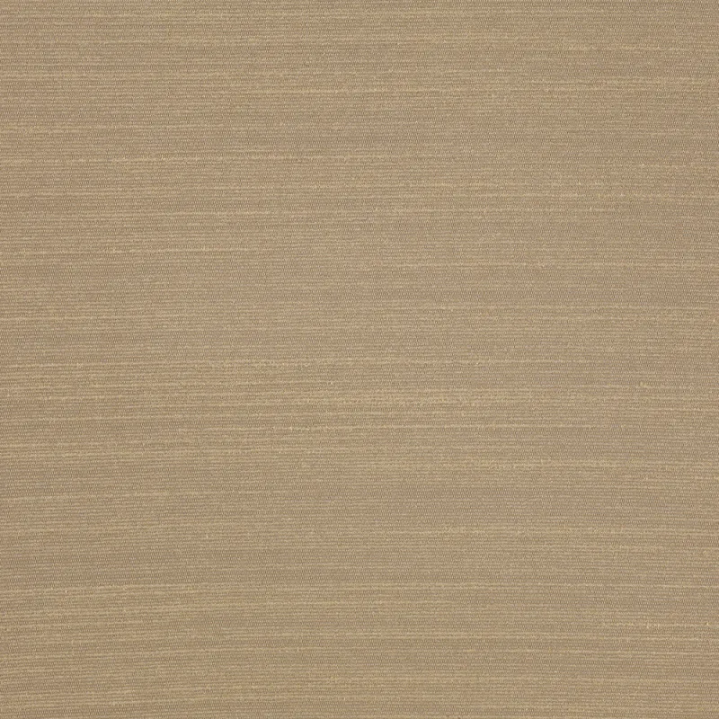 Ткань Dedar Alter Ego T17042_006