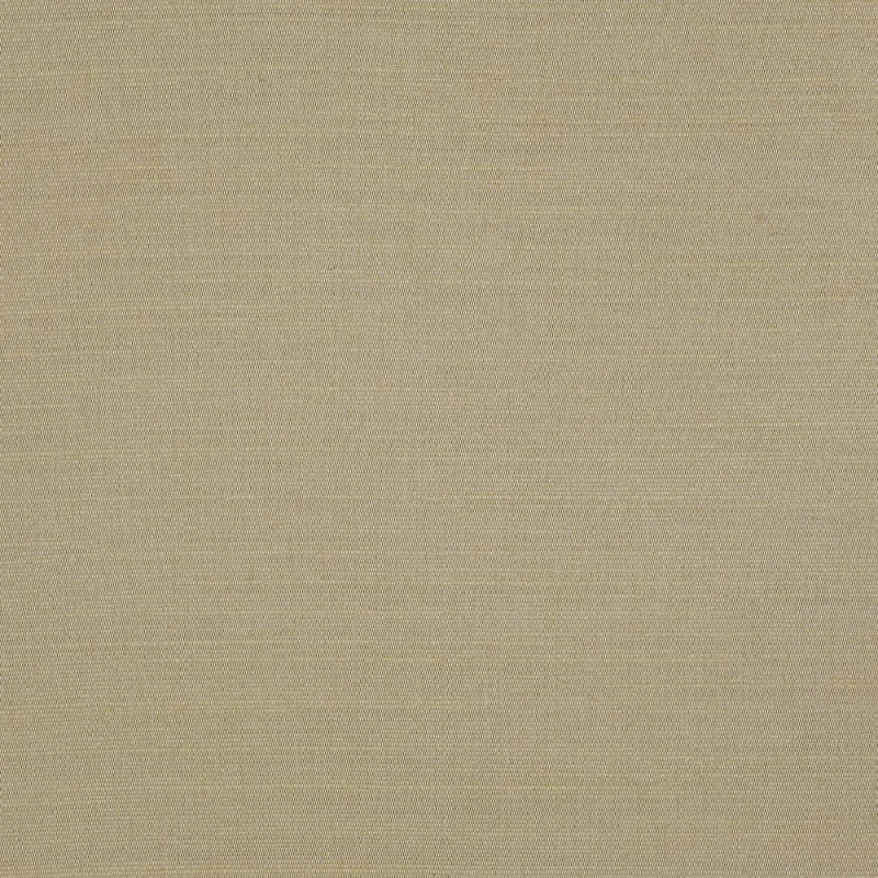 Ткань Dedar Alter Ego T17042_008