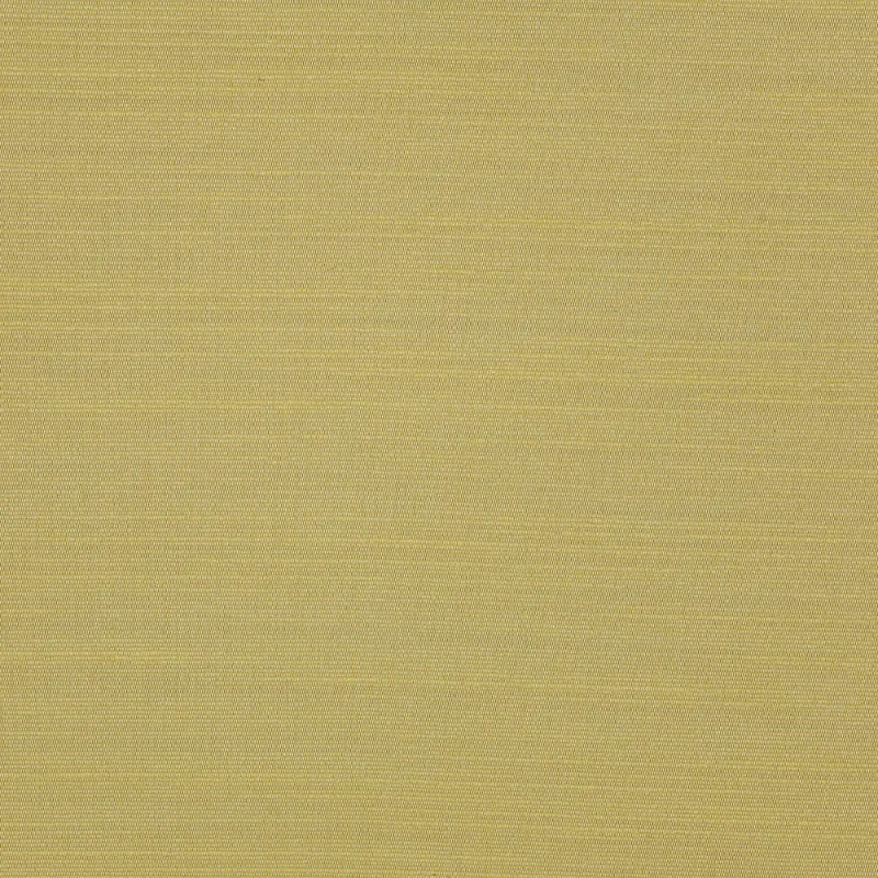 Ткань Dedar Alter Ego T17042_023