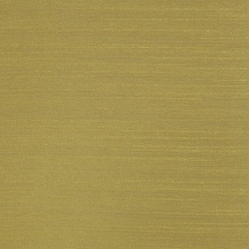 Ткань Dedar Alter Ego T17042_024