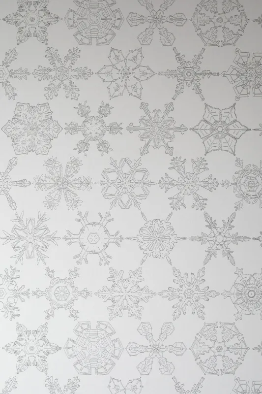 Обои для стен Abigail Edwards Abigail’s first wallpaper collection Wilsons Crystals Wallpaper