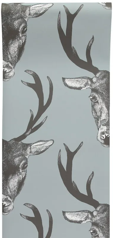 Обои для стен Graduate Collection Graduate Wallpapers stag_head_wallpaper_grey