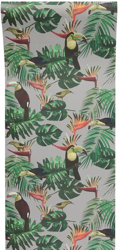 Обои для стен Graduate Collection Graduate Wallpapers toucan_wallpaper_mist_grey