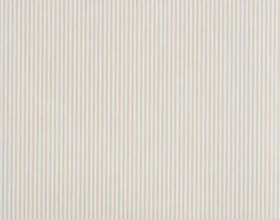 Обои для стен Braquenie Compagnie des Indes BP327004