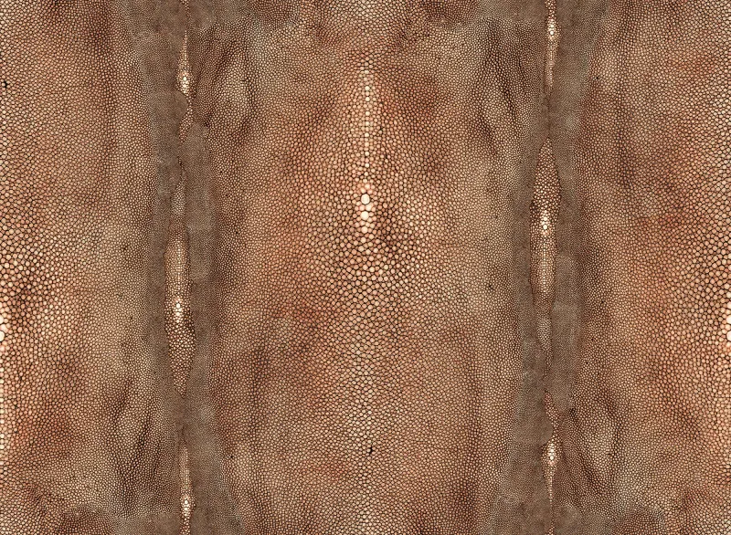 Обои для стен Jean Paul Gaultier Un Monde Parfait 3326-01