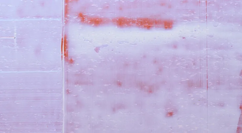 Обои для стен La Scala Milano Opera V opale_3402