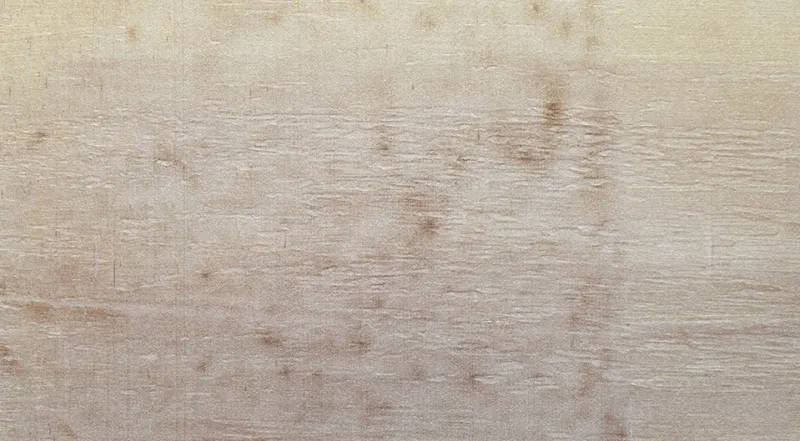 Обои для стен La Scala Milano Opera V opale_3404