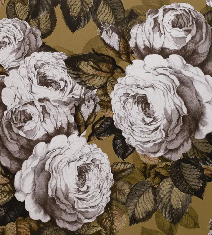 Обои для стен Designers Guild John Derian - Picture Book PJD6002-04