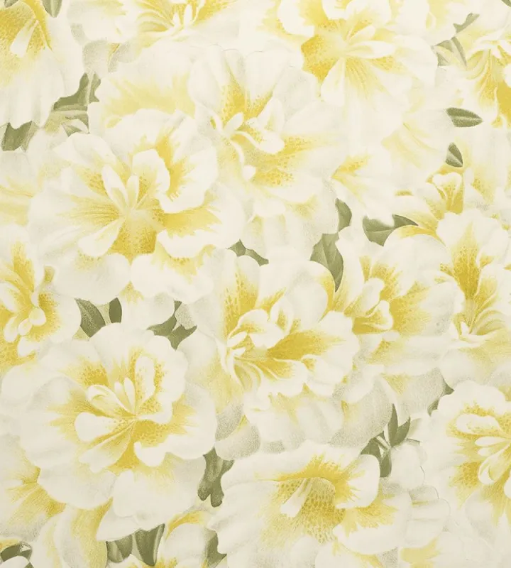 Обои для стен Designers Guild John Derian - Picture Book PJD6004-03