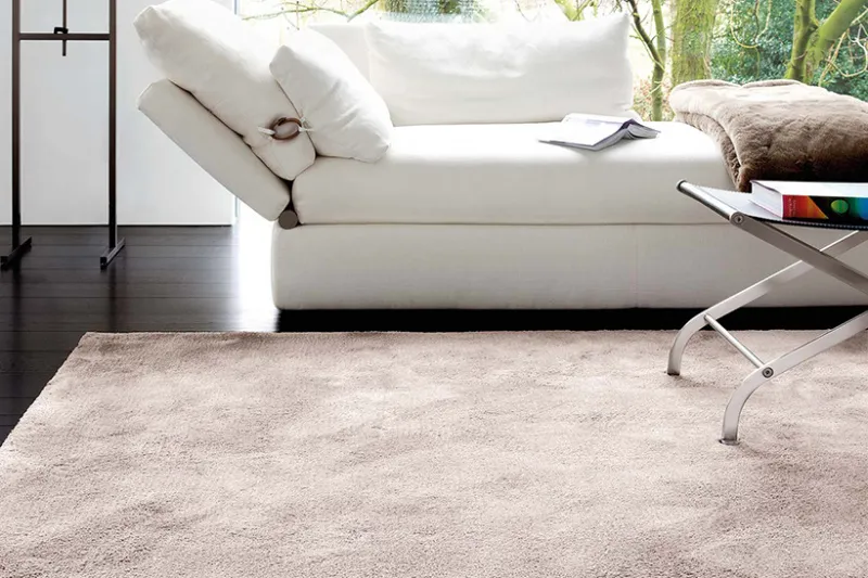 Dream-Oyster_sfeerbeeldi