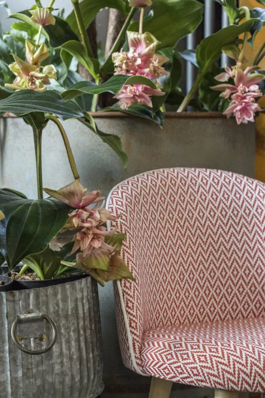 Ткань Brochier Regina 012-BROCHIER-Re