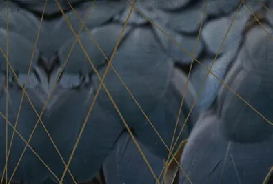 Обои для стен Momenti Crazy Artists RAM-08