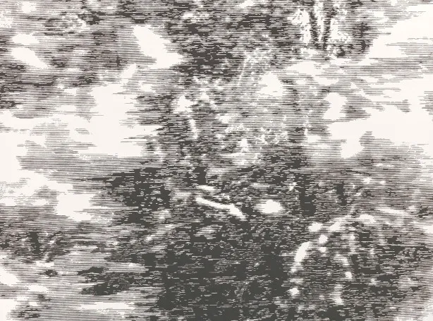 Обои для стен Black Edition Mizumi Wallcoverings W919-01