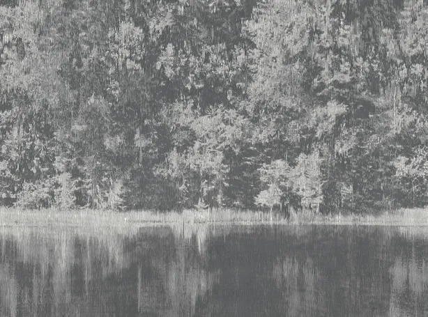 Ткань Black Edition Mizumi 9090-01