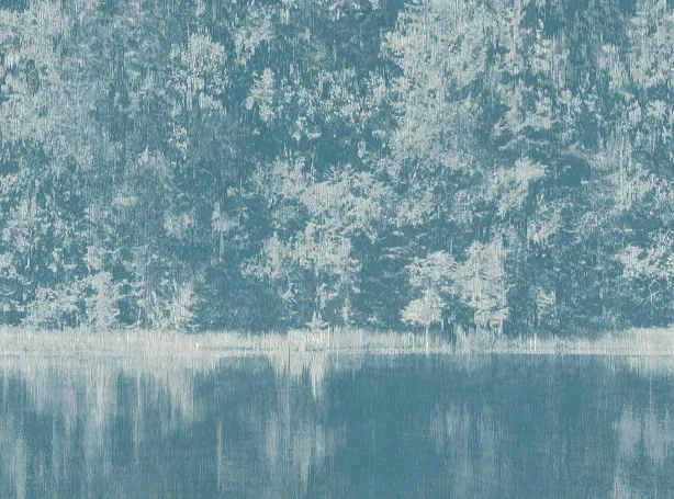 Ткань Black Edition Mizumi 9090-02