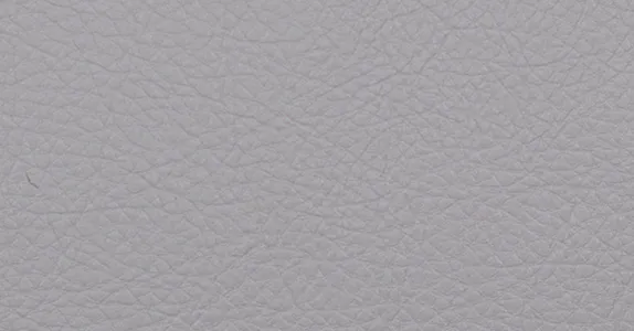 Обои для стен Innovations Santa Cruz SAT-008-Daisy