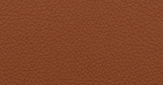 Обои для стен Innovations Santa Cruz SAT-016-Nasturtium