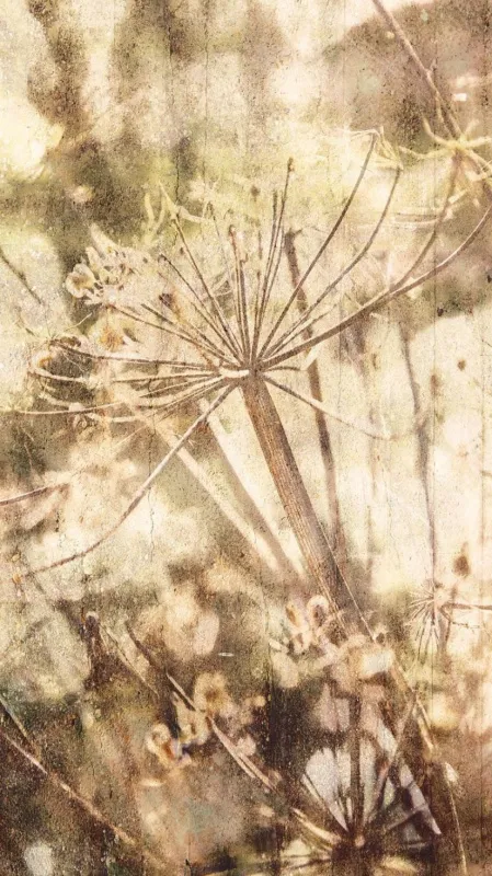 Обои для стен Eijffinger Lino 379102