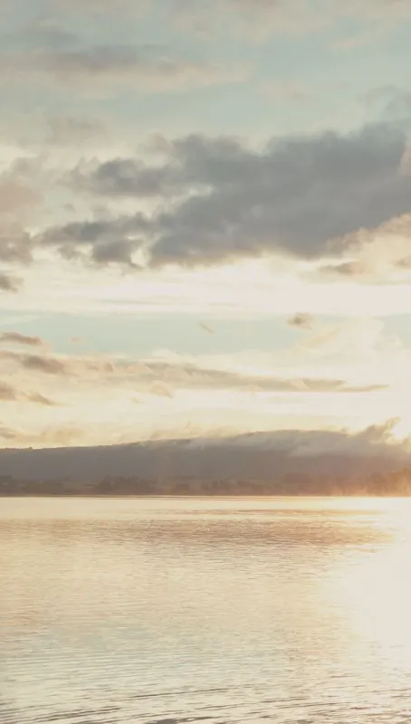 Обои для стен Eijffinger Lino 379103