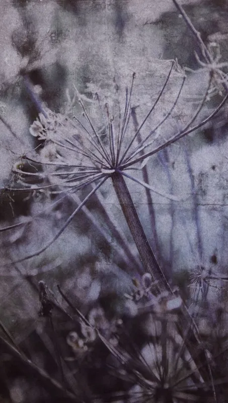 Обои для стен Eijffinger Lino 379106