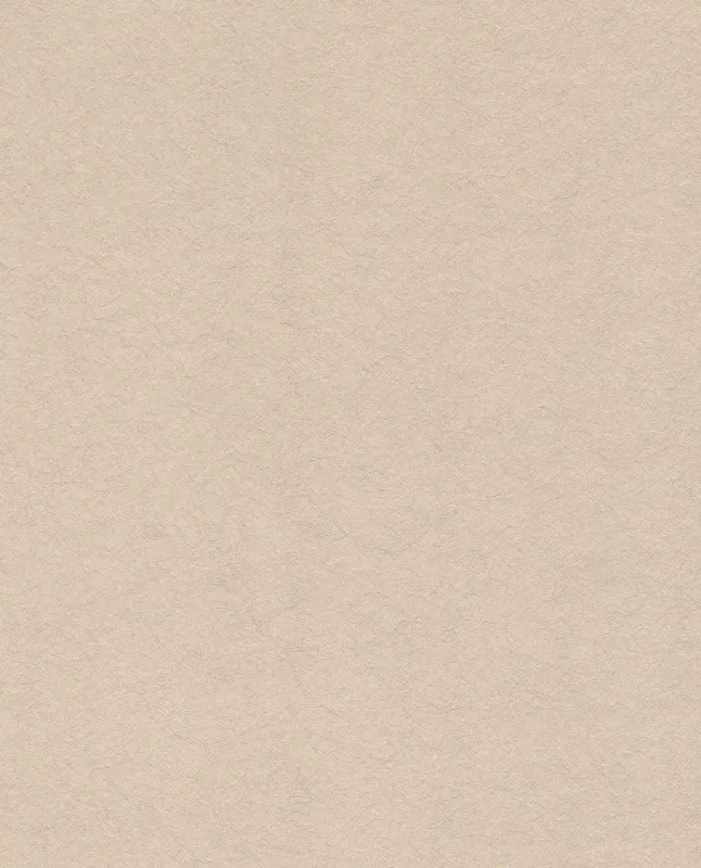 Обои для стен Eijffinger Reunited 372573