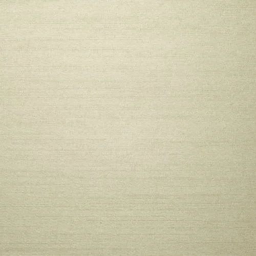 Обои для стен Dedar Alter Ego Metallo Wallcovering D19101_010