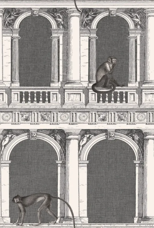 Обои для стен Cole & Son Fornasetti Senza Tempo 114-21041