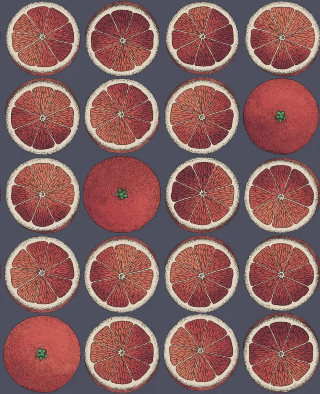 Обои для стен Cole & Son Fornasetti Senza Tempo 114-24046