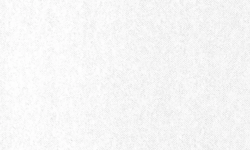 Обои для стен Arte Flamant Les Unis 78028