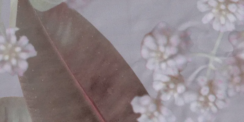 Ткань Creation Baumann Grazia 0101785_0152