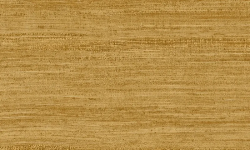 Обои для стен Arte Expedition 72026