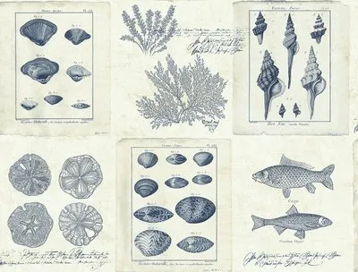 Обои для стен KT Exclusive Destination th50902