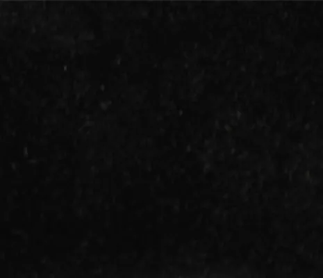 Ткань Alessandro Bini Spitfire NF079-246