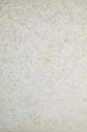 Обои для стен Biden Designs Textured Washi Paper T-01-Feather-Snow