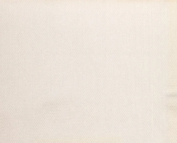 Ткань Alessandro Bini Free Collection NF048-01