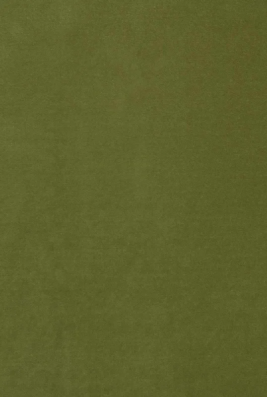 Ткань The Design Archives Archive 1 Wool & Velvet Opera-1016-Avacado-3-1