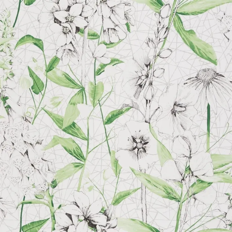 Обои для стен Designers Guild Flowers volume 1 PDG1050-01