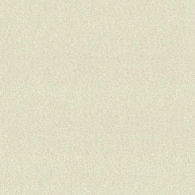 Обои для стен York Wallcoverings Cloud nine NW6517 #2