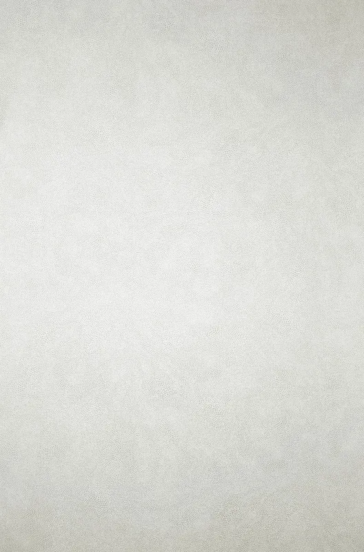 Обои для стен Osborne & Little Argentario w6303-04