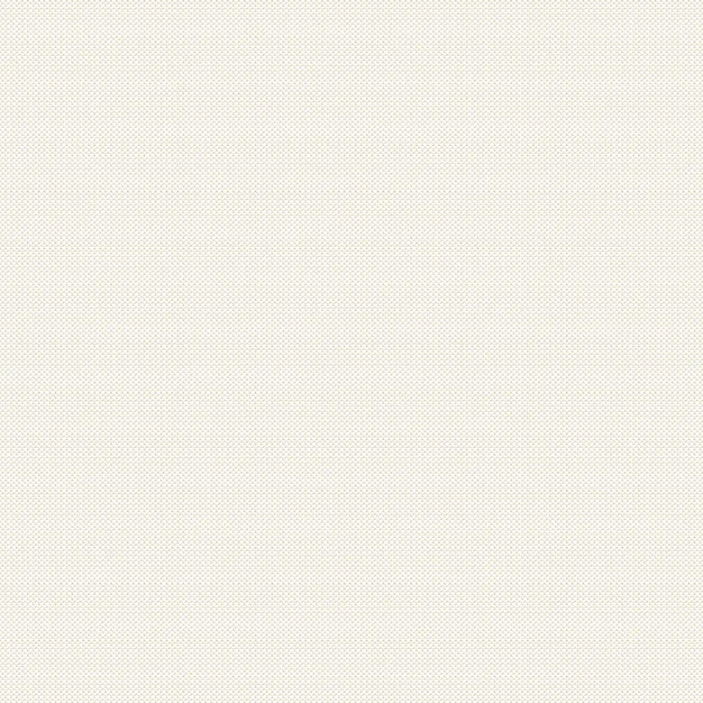 Ткань Sunbrella XL Natte 10020 white