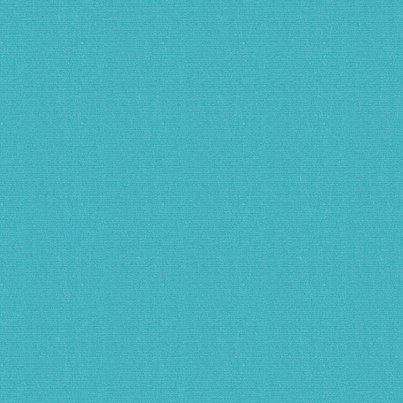 Ткань Sunbrella Solids 5416 Aruba