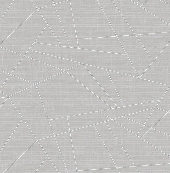 Обои для стен Casa Mia Graphit rm90718