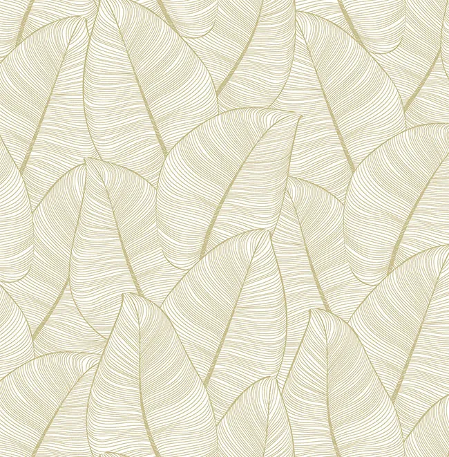 Обои для стен Casa Mia Graphit rm91605