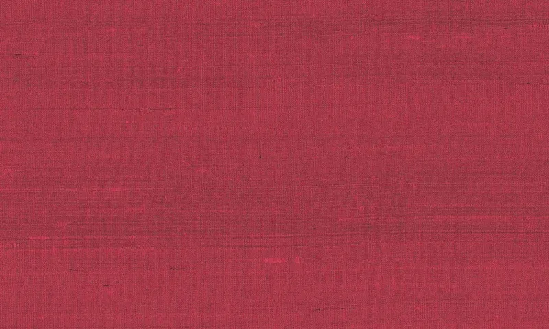 Обои для стен Arte Paleo 50502