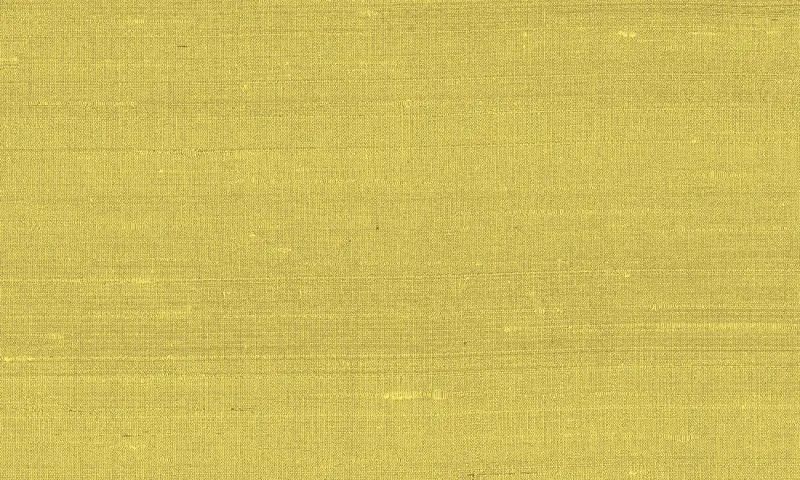 Обои для стен Arte Paleo 50507