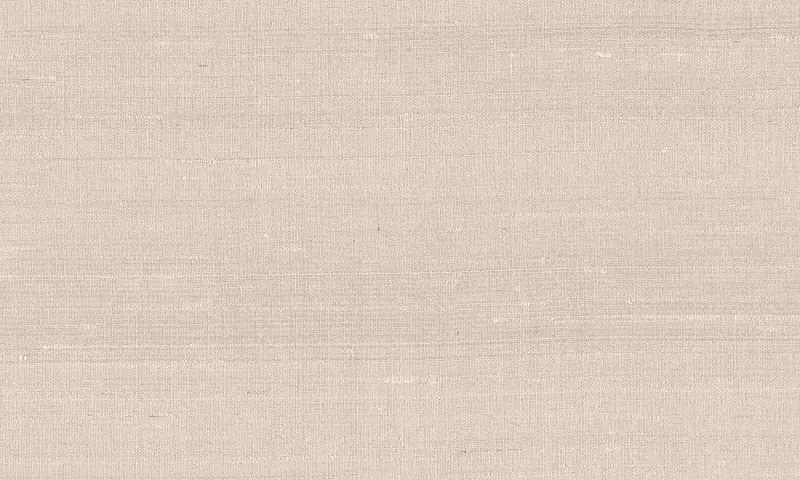 Обои для стен Arte Paleo 50512