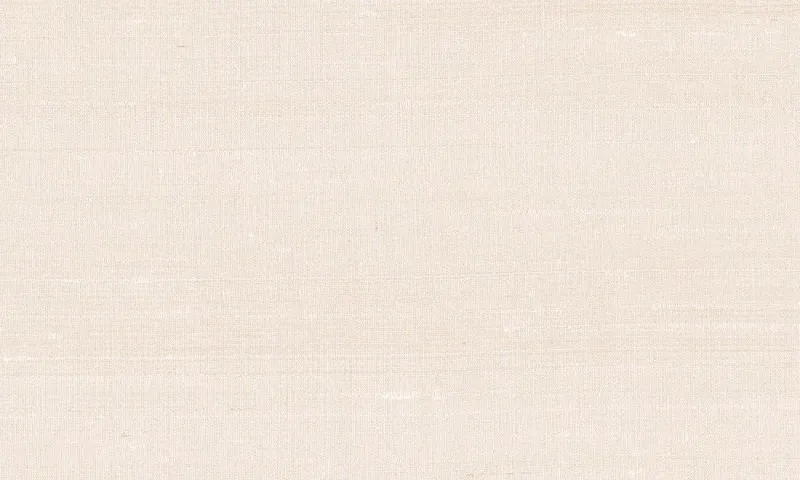 Обои для стен Arte Paleo 50513