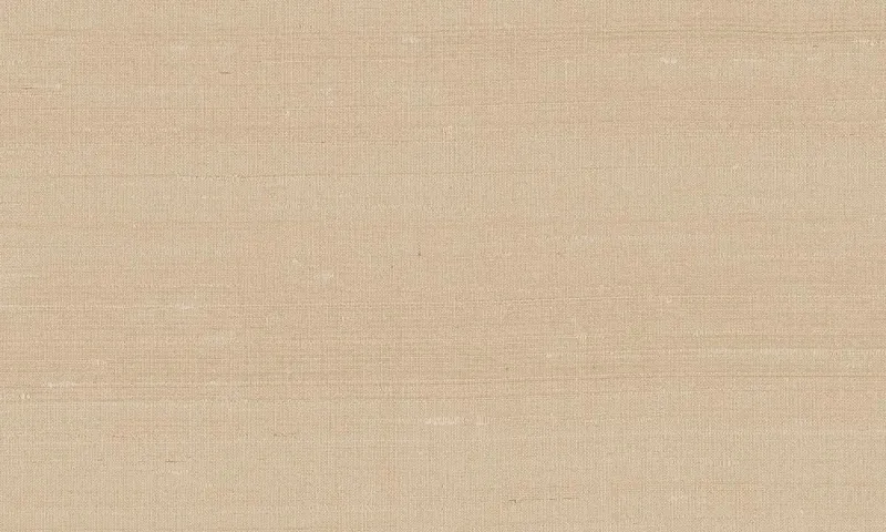 Обои для стен Arte Paleo 50518