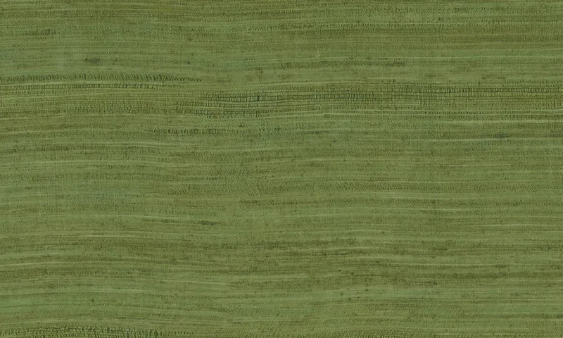 Обои для стен Arte Expedition 72020